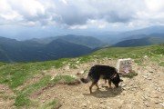 IMG_0161