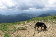 IMG_0162
