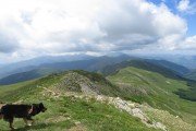 IMG_0166