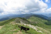 IMG_0167
