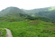 IMG_0214