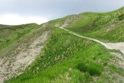 IMG_0215