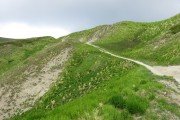 IMG_0216