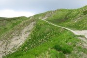 IMG_0217