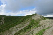 IMG_0218