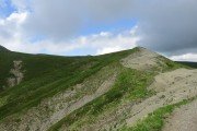 IMG_0219