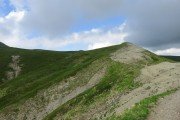 IMG_0220