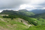 IMG_0221