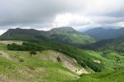 IMG_0222