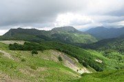 IMG_0223