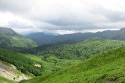 IMG_0224