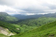IMG_0225