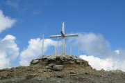 IMG_0229