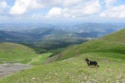 IMG_0235