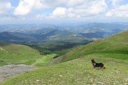 IMG_0236