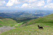 IMG_0237