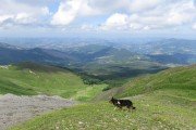 IMG_0240