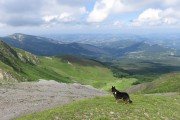 IMG_0241