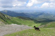IMG_0242