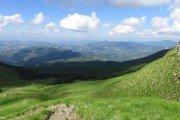IMG_0259