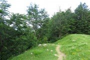 IMG_0261