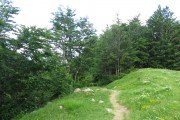 IMG_0262