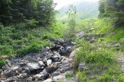 IMG_0263