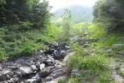 IMG_0264