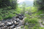 IMG_0265