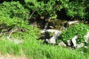 IMG_0266