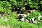 IMG_0267