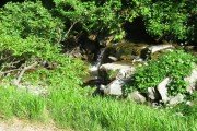 IMG_0268