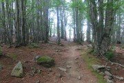 IMG_0269