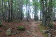 IMG_0270