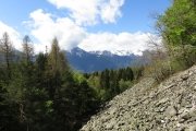 IMG_0008