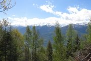 IMG_0011