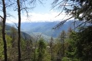 IMG_0017