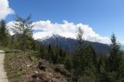 IMG_0020