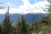 IMG_0021