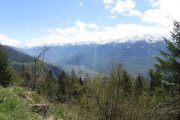 IMG_0026