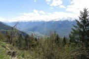 IMG_0029