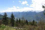 IMG_0030