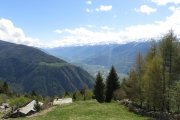 IMG_0035
