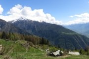 IMG_0037