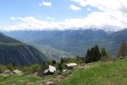 IMG_0038