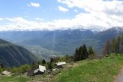 IMG_0040