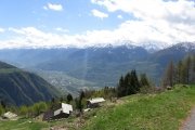 IMG_0041