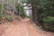 IMG_0055