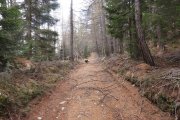 IMG_0058