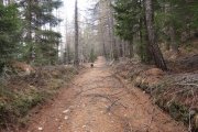 IMG_0059